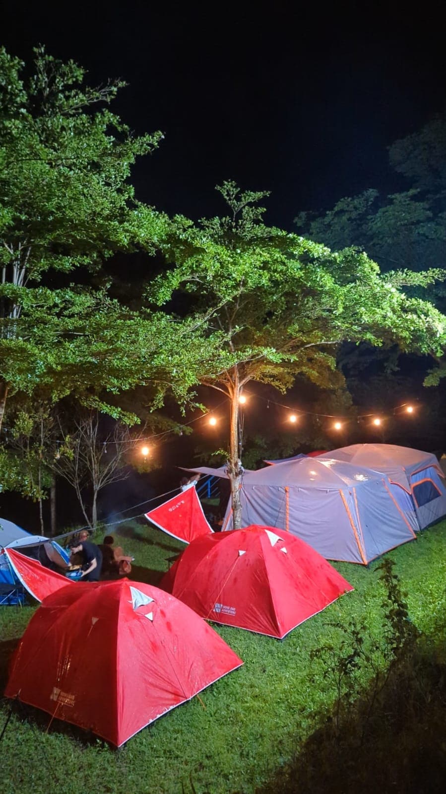 Paket Glamping C